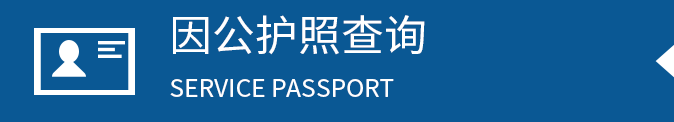 世界杯最新版下载